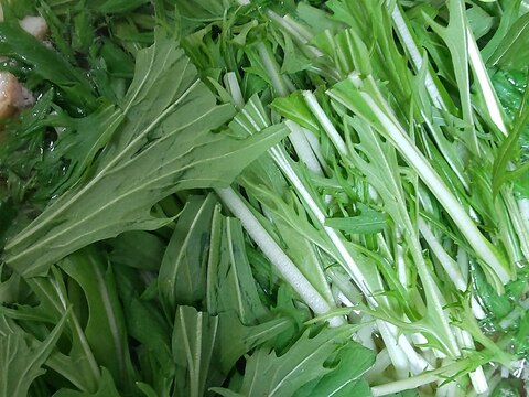 あるもので作る☆豚肉と水菜と厚揚げとしらたきのお鍋